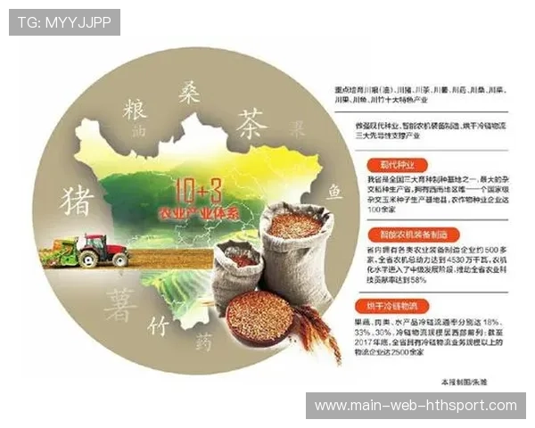 马赛优先发展医务与康复体系，为城市健康筑牢坚实基石