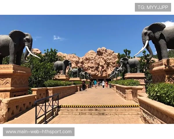 南非投球火力强劲,完封对手再取三分,南非擅长的球类运动 南非投球火力强劲,完封对手再取三分,南非擅长的球类运动