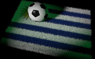 华体会真人体育-中国足球发展成果引外媒关注，中国发展足球事业